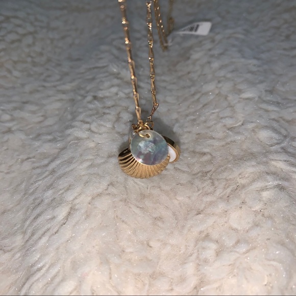 Dry Goods Shell Necklace - Picture 4 of 4